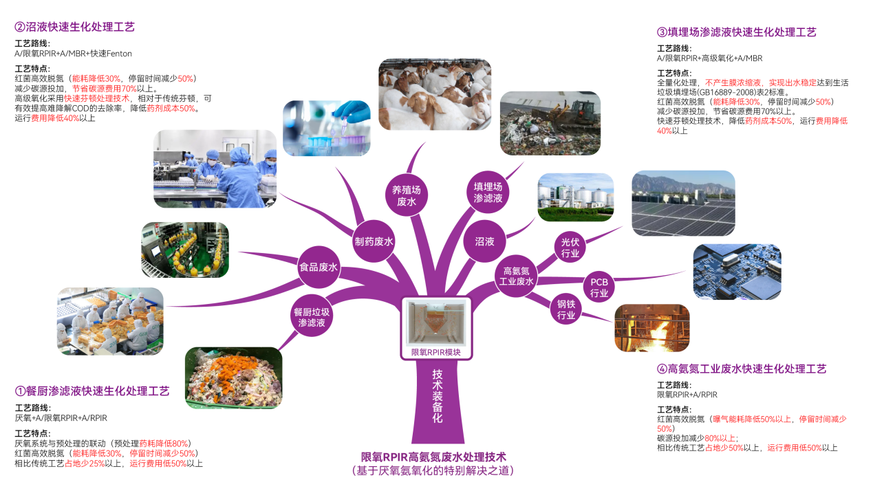 20241011092624599 百乐博-非凡设想力,引发无限可能
